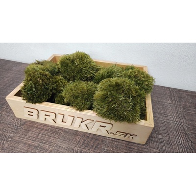 Stabilizovaný mach – Kopčekový – Mood moss – nature green 10ks