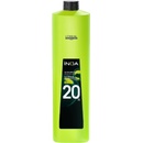 L'Oréal Inoa 2 Rich oxidant 20 Vol 6% 1000 ml