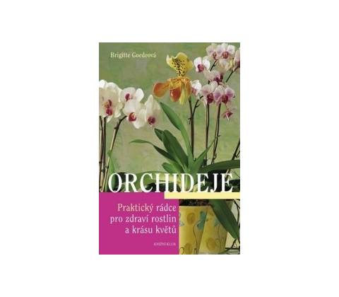 Orchideje
