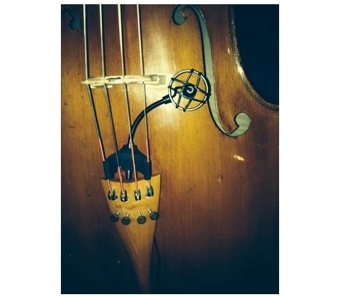 Prodipe CL21