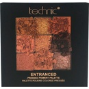 Technic Paletka pigmentů v bronzových odstínech Pressed pigment palette Entranced 6,75 g