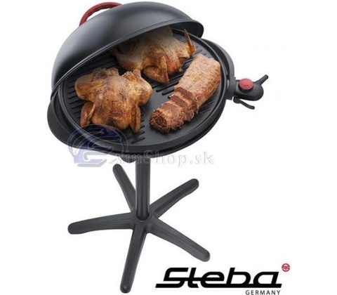 Steba VG 300