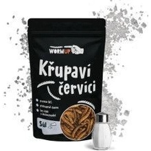 WormUP Chrumkavé červíky so soľou 20 g