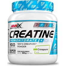 Amix Creatine monohydrate 300 g