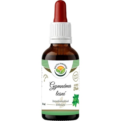 Salvia Paradise Gymnéma lesní AF tinktura Bio 50 ml