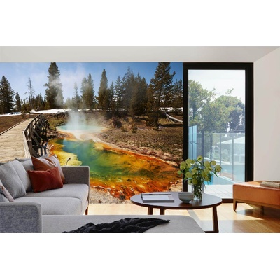 DIMEX ART Самозалепваща се флизелинова фототапета парк йелоустоун 375 x 250 см