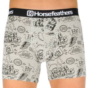 Horsefeathers Мъжки боксерки Horsefeathers Sidney sketchbook Horsefeathers | Siv | МЪЖЕ | M