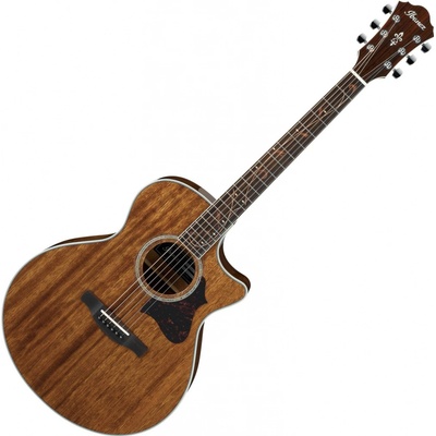 Ibanez AE245