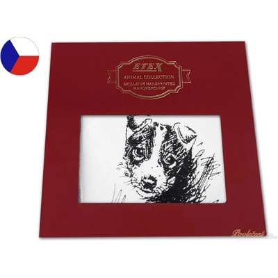 Etex Dárkové dětské kapesníky látkové Pes 1ks