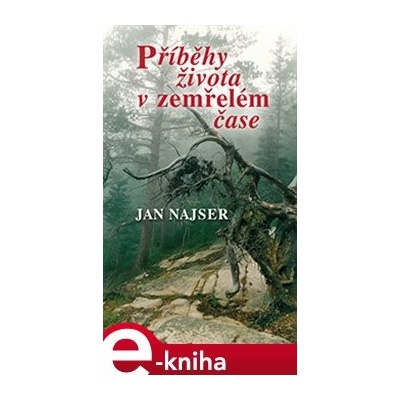 Příběhy života v zemřelém čase - Jan Najser