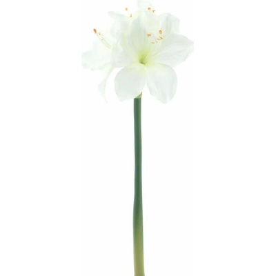 Amarylka větvička „Rabat“ krémová 40 cm