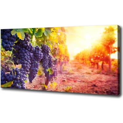 Foto obraz na plátne Hrozny a víno 100x50 cm