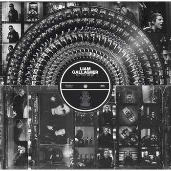 Liam Gallagher - As You Were (Limited Edition) (Picture Disc) (180 g) (LP) (5021732856944)