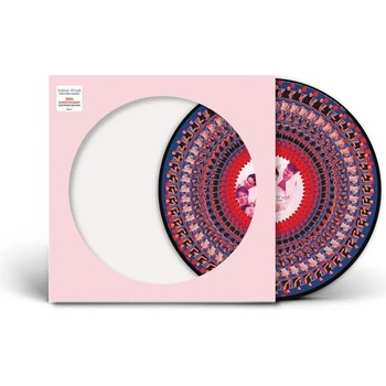 Take That: Everything Changes LP