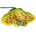 Dubi Yellow ray 55cm