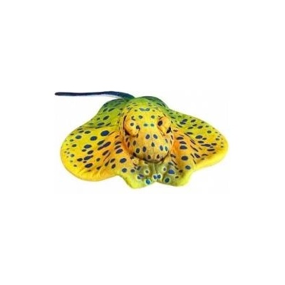 Dubi Yellow ray 55cm