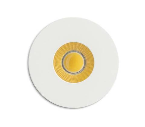 Rendl R12656