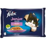 FELIX Fantastic Junior в желе с пилешко и сьомга 4x85g