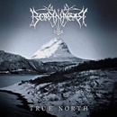 True North - Borknagar CD