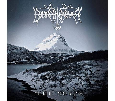 True North - Borknagar CD