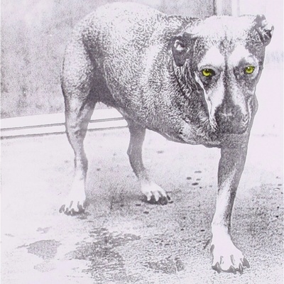 Alice In Chains - Alice In Chains CD