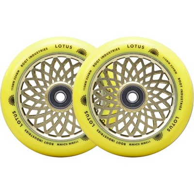 Root Lotus 110 mm radiant yellow 2 ks – Hledejceny.cz
