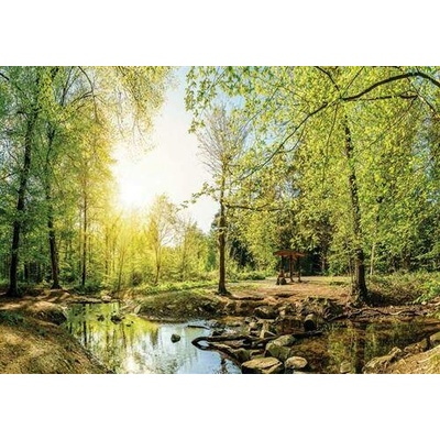 IMPOL TRADE 10508 Vliesová fototapeta 410508 rozměr 208 cm x 146 cm