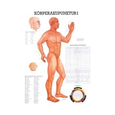 Rüdiger-Anatomie Naučný plakát Akupunktura těla I