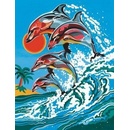 Malování podle čísel Delfíni