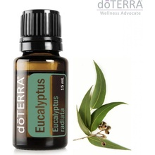 DoTerra Eucalyptus Esenciálny olej eukalyptus 15 ml