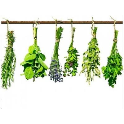 DIMEX ART Флизелинов фототапет билки 225 x 250 см