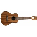 Henry`s Guitars U50C
