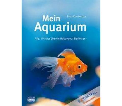 Mein Aquarium