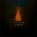 Wailin Storm - Arsonist Digipack CD