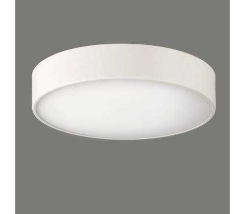 ACB P03953BL