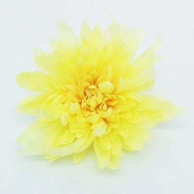 Chryzantéma jehlicová - žlutá světlá - VL0958