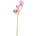 Bizzotto ИЗКУСТВЕНА КЛОНКА cymbidium dyan 66cm РОЗ (0170682)