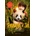 Panda a já - Christelle Chatel
