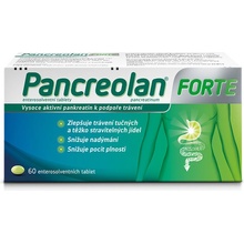 PANCREOLAN FORTE POR 6000U TBL ENT 60