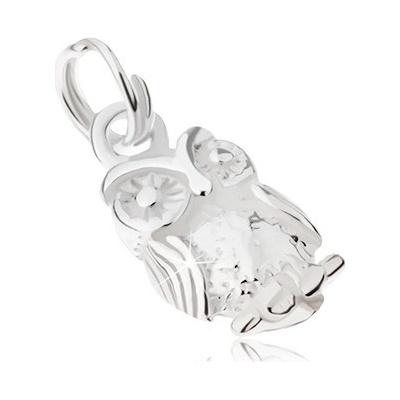 Šperky eshop Gravírovaný přívěsek ze stříbra 925 moudrá sova SP17.21