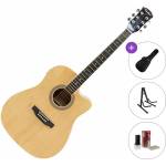 Pasadena SG028CE Standard SET Natural Електро-акустична китара Дреднаут