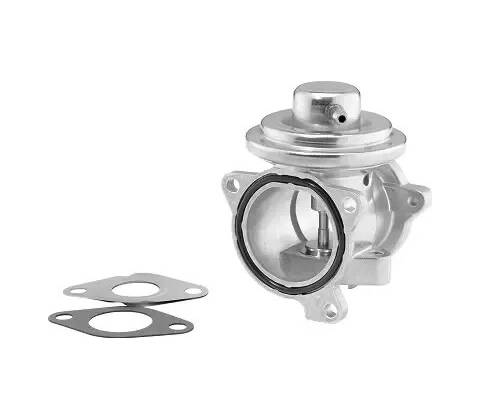 BorgWarner AGR ventil BGW 7271D