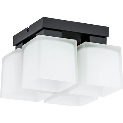 Lemir O2975 P4 CZA + BIA