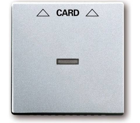 ABB Future linear 2CKA001710A3670