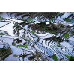 DIMEX ART Флизелинов фототапет оризови терасовидни полета 375 x 250 см