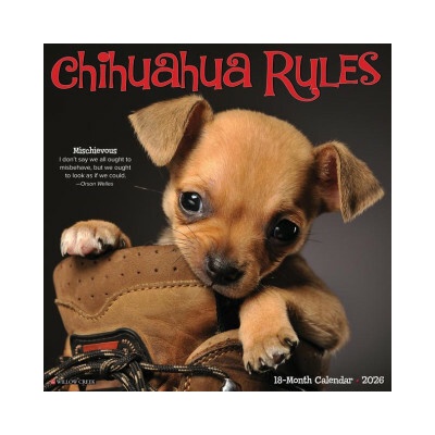Chihuahua Rules 12 X 12 Wall 2026