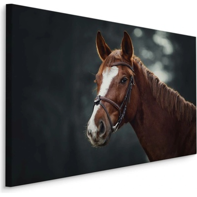 MyBestHome BOX Plátno Kůň Na Pozadí Lesa Varianta: 120x80