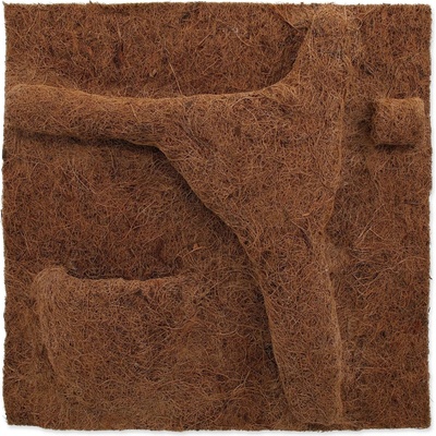 Repti Planet pozadie Coco Planter 50x50 cm