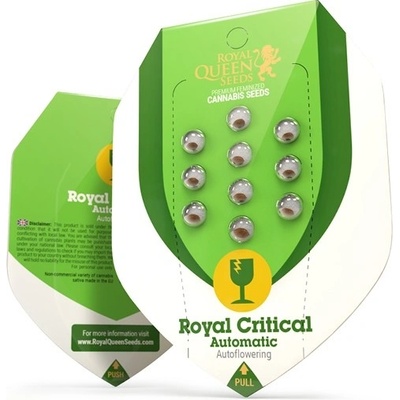 Royal Queen Seeds Royal Critical AUTO Semena neobsahují THC 10 ks – Zboží Mobilmania