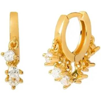 DELIS Jw1061, сребърни обеци, елегантен дизайн с бели цирконии, златно покритие (jw1061)